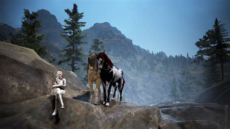 black desert horse breeding|black desert selling breeding horses.